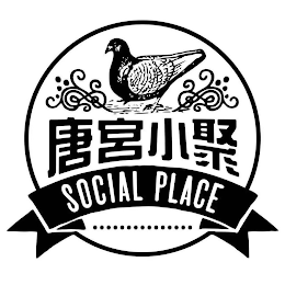 SOCIAL PLACE logo