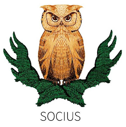 SOCIUS logo