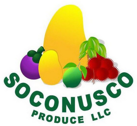 SOCONUSCO PRODUCE LLC logo