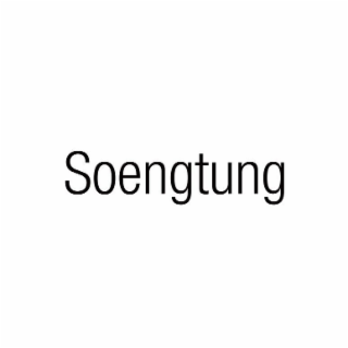 SOENGTUNG logo