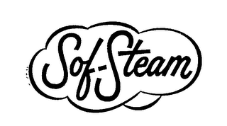 SOF-STEAM logo