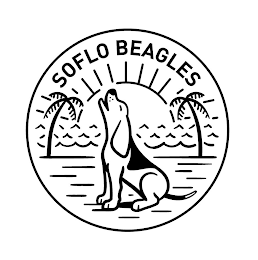 SOFLO BEAGLES logo