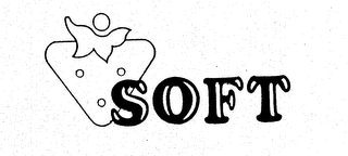 SOFT logo