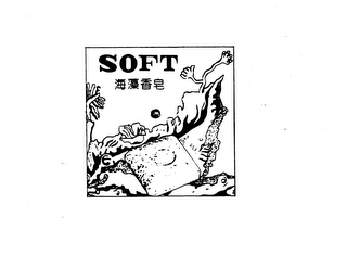 SOFT logo