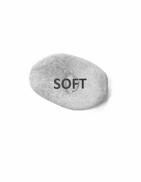 SOFT logo
