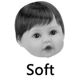SOFT logo