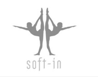 SOFT-IN logo