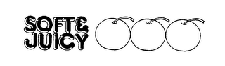 SOFT & JUICY logo