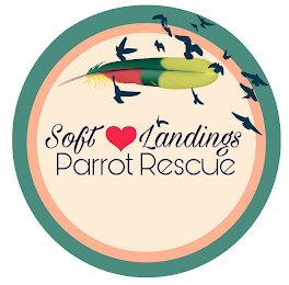 SOFT LANDINGS PARROT RESCUE logo