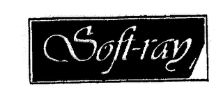 SOFT-RAY logo