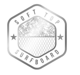 SOFT TOP SURFBOARD logo
