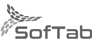 SOFTAB logo