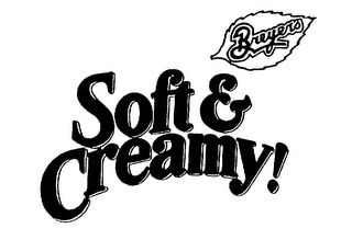 SOFT'N CREAMY! BREYERS logo
