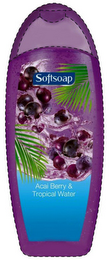 SOFTSOAP ACAI BERRY & TROPICAL WATER logo