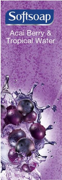 SOFTSOAP ACAI BERRY & TROPICAL WATER logo