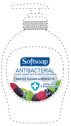 SOFTSOAP ANTIBACTERIAL HAND SOAP WITH MOISTURIZERS GENTLY CLEANS & PROTECTS WHITE TEA & BERRY FUSION logo