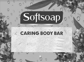 SOFTSOAP CARING BODY BAR logo