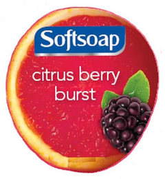 SOFTSOAP CITRUS BERRY BURST logo