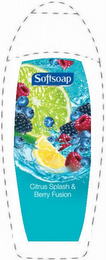 SOFTSOAP CITRUS SPLASH & BERRY FUSION logo