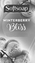 SOFTSOAP WINTERBERRY BLISS logo