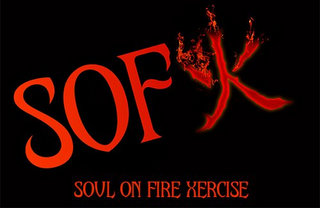 SOFX  SOUL ON FIRE XERCISE logo