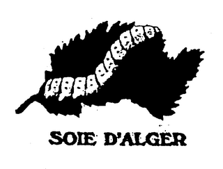 SOIE D'ALGER logo
