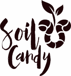 SOIL CANDY logo