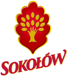 SOKOLÓW logo