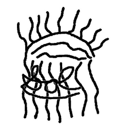 SOL logo