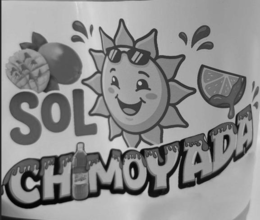 SOL CHIMOYADA logo