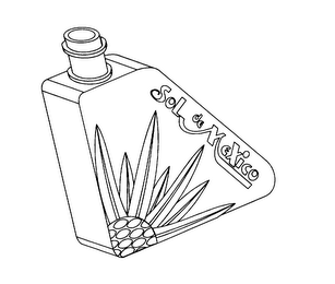 SOL DE MEXICO logo