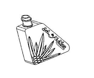 SOL DE MEXICO logo