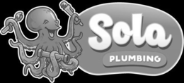 SOLA PLUMBING logo