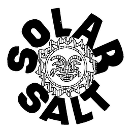 SOLAR SALT logo