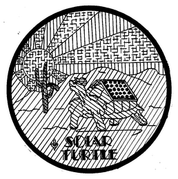 SOLAR TURTLE logo