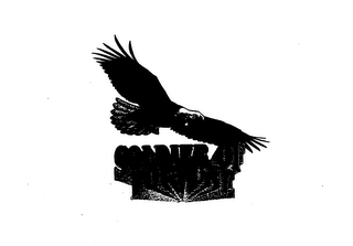 SOLDIER OF FORTUNE logo
