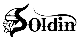 SOLDIN logo