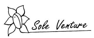 SOLE VENTURE logo