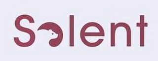 SOLENT logo
