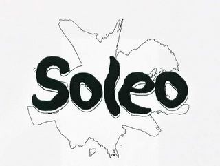 SOLEO logo