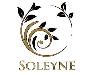 SOLEYNE logo