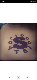 SOLID SOCIETY logo