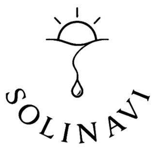 SOLINAVI logo