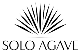 SOLO AGAVE logo