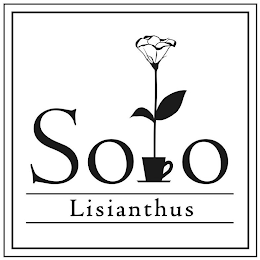 SOLO LISIANTHUS logo