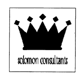 SOLOMON CONSULTANTS logo