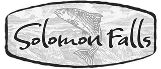 SOLOMON FALLS logo