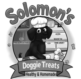 SOLOMON'S DOGGIE TREATS HEALTHY & HOMEMADE NO PRESERVATIVES MADE IN THE USA INVITATI BINN INVITATION JAKE logo