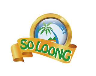 SOLOONG logo