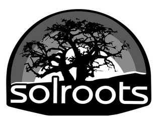 SOLROOTS logo
